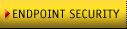 Endpoint Security