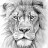 Constantin Frunza's profile photo